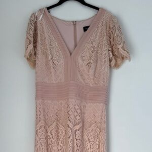 Tadashi Shoji Nude Lace Timeless Cocktail Dress NWT